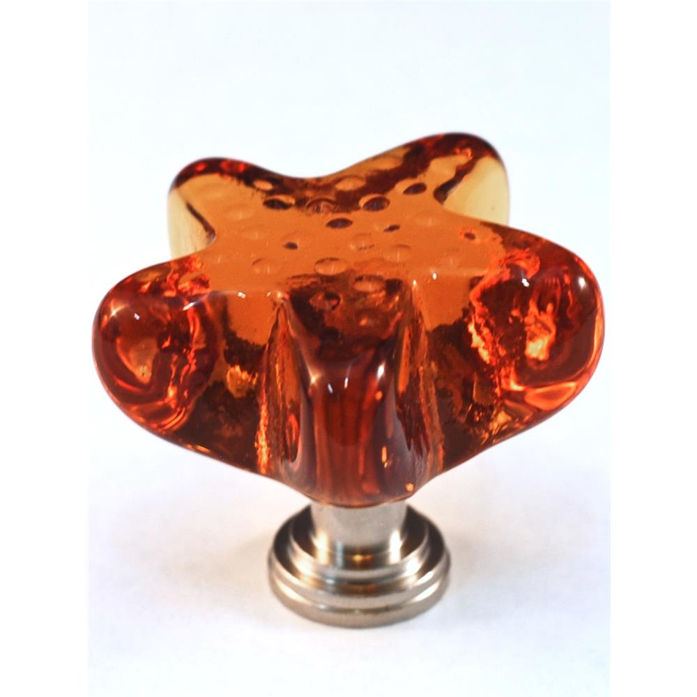 Cal Crystal ARTX S4A STARFISH AMBER KNOB in Polished Brass